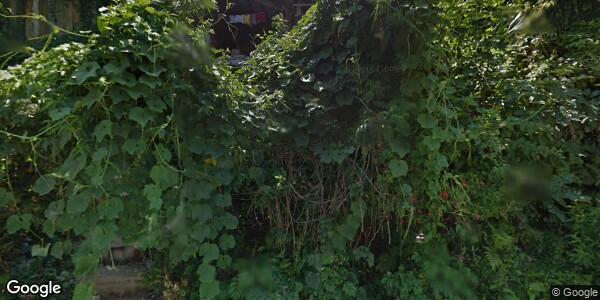 JUZGADO MIXTO MUNICIPAL